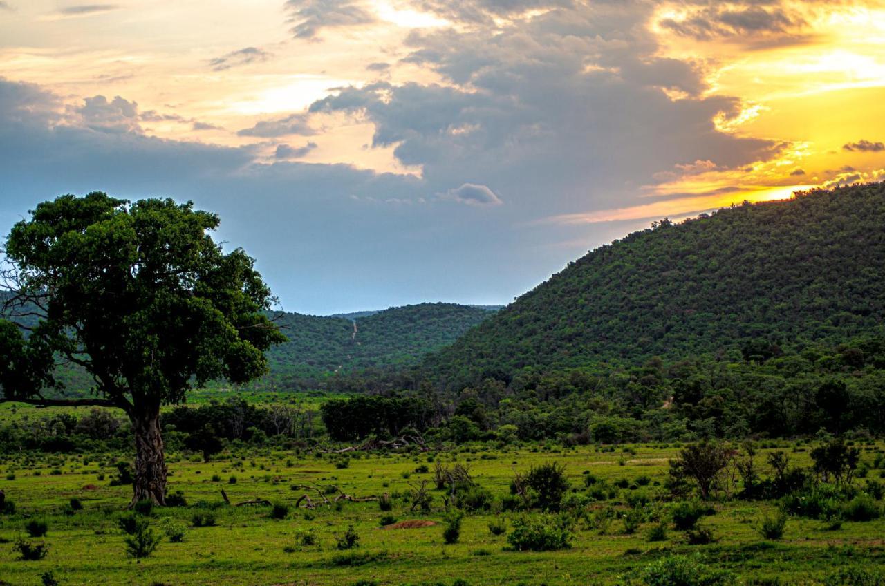 Laluka Safari Lodge - Welgevonden Game Reserve Exterior foto